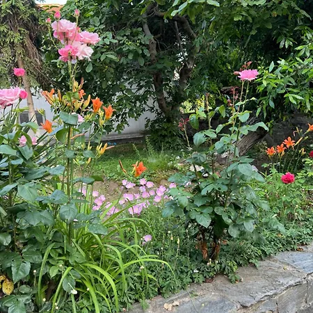 Holiday home мила