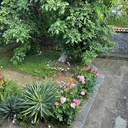 Holiday home мила *