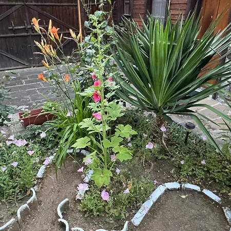 Prázdninový dům мила