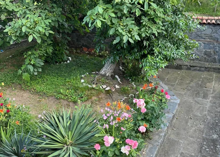 Tatil Evi мила *